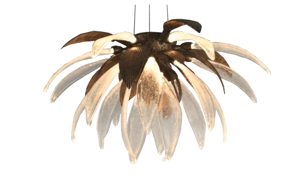 LOTUS-IMC-LO-37BR-RO