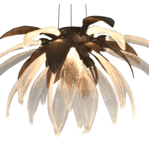 LOTUS-IMC-LO-37BR-RO